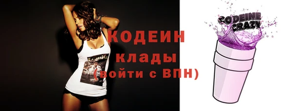 прущие крисы Няндома