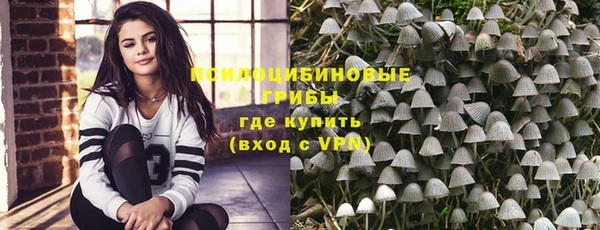 прущие крисы Няндома