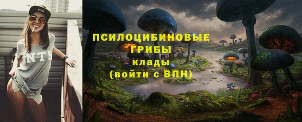 МДПВ Нягань