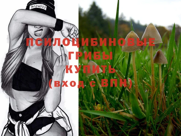 ALPHA PVP Нязепетровск
