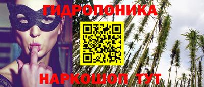 молекула духа Дубна