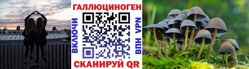 ОМГ ОМГ маркетплейс  Киржач  Галлюциногенные грибы ЛСД 