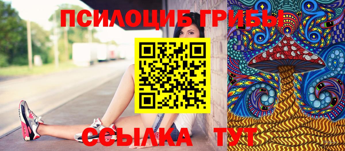 Псилоцибиновые грибы Psilocybe  Псилоцибиновые грибы GOLDEN TEACHER  Вход с VPN  Киржач 